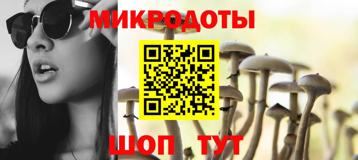 Псилоцибиновые грибы мицелий Торжок
