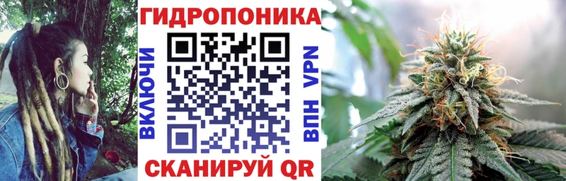 Конопля Bruce Banner  продажа наркотиков  Торжок 